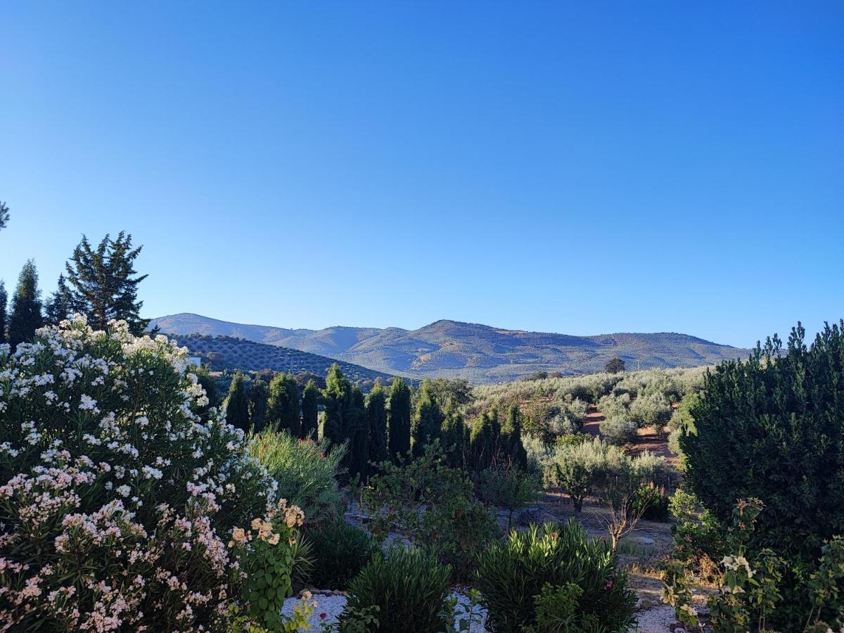Cortijo Pennymaria Poolside Apartment Near Montefrio With Stunning Views Екстериор снимка